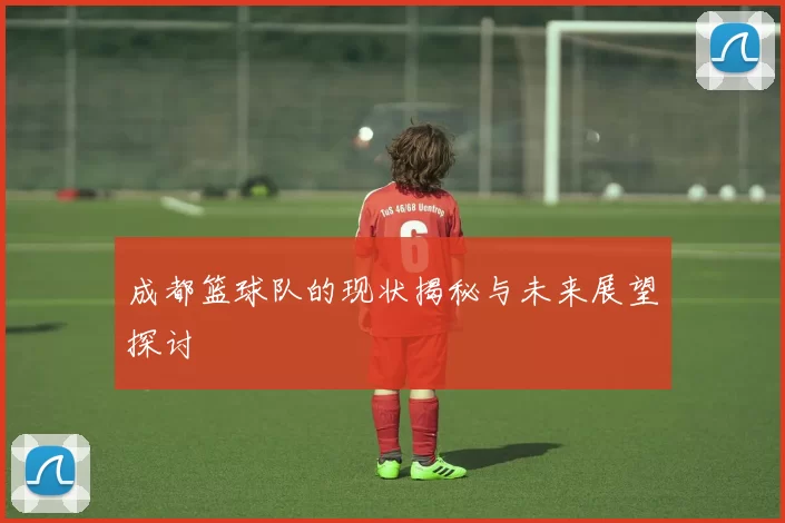 成都篮球队的现状揭秘与未来展望探讨