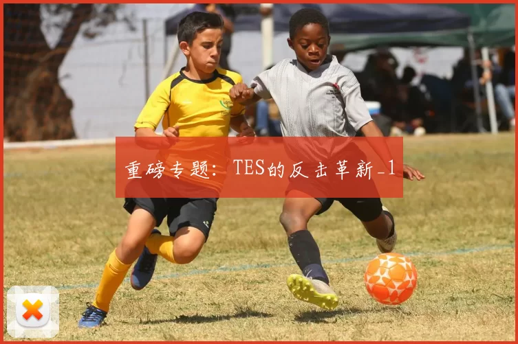 重磅专题：TES的反击革新_1