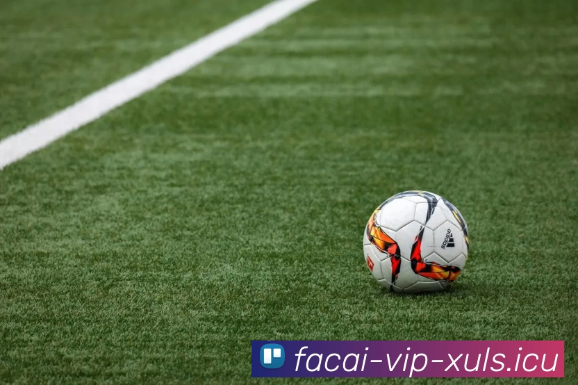 华体会体育平台生态图